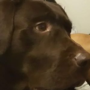 Meet your Posher, Keith